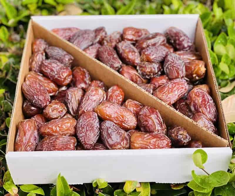 قیمت خرما پیارم درجه یک با کیفیت ارزان + خرید عمده